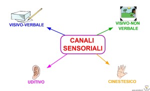 CANALI SENSORIALI